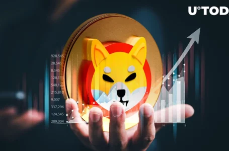 SHIB Eyes 300% Spike in up to $1 Million Shiba Inu Transactions as Shibarium Launch Nears