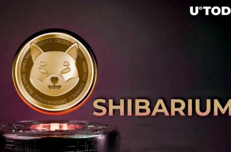 SHIB Leader Teases 3 New ‘Partnershibs’ Ahead of Shibarium Launch: Details