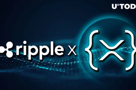 RippleX Shares Impressive Update on XRP Ledger DeFi AMM