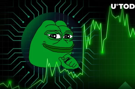 PEPE Leads Meme Coin Rally, Jumps 8%