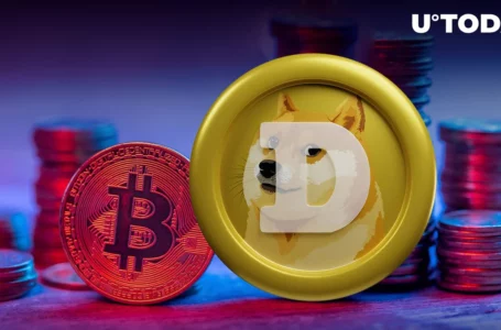 DOGE Co-Founder Slams Bitcoin Maxis as ‘Mentally Ill Group of Insecure Losers’