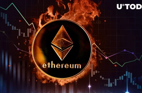 Ethereum (ETH) Burn Rate Plummets Dramatically, No Longer Deflationary?