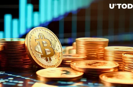 Massive Bitcoin (BTC) Exit From Exchanges May Spell Good Omen, Here’s Reason