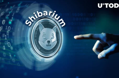 33 Billion SHIB Moved From Exchanges as Shytoshi Kusama Teases Shibarium Launch Today