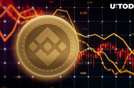 Binance Coin (BNB) Price Could See 30% Crash If It Doesn’t Do This