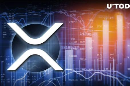 XRP Leaves Other Altcoins Behind, Here’s What Happened