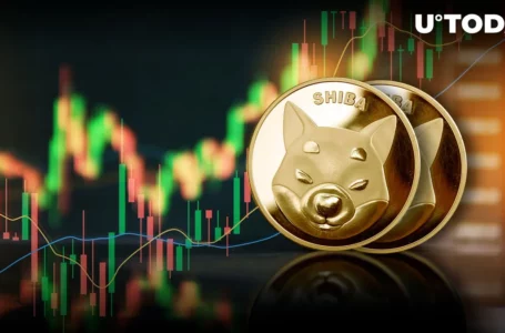 Shiba Inu (SHIB) Sees Spike in This Area Amid Broad Sell-off