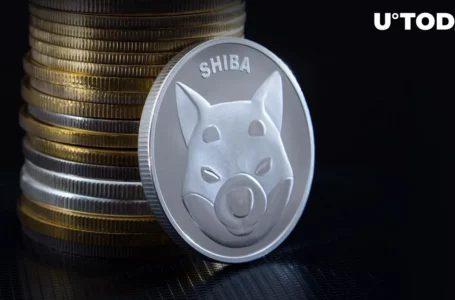 Millions of SHIB Giveaway Announced by Major Crypto Exchange