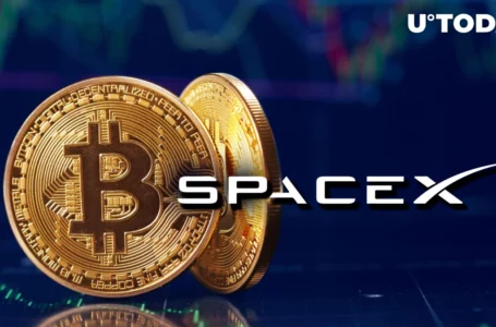 Did Bitcoin Price Crash to $25K Because of Fake SpaceX News?
