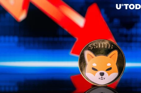 Shiba Inu (SHIB) Momentarily Lost All of August’s Gains