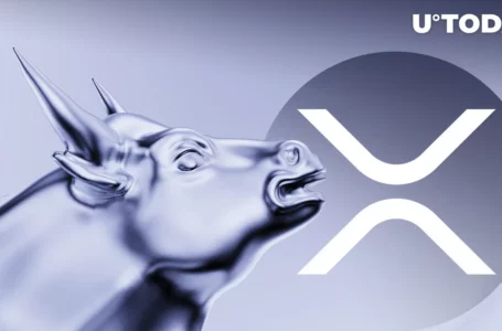 XRP Bulls Need This Important Move to Spring to Action