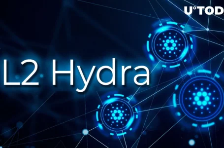 Cardano’s L2 Hydra New Version Released, Here’s What Changed