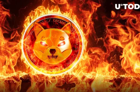 2.4 Billion SHIB Burned in Past Week Despite Shibarium’s Labor Pains