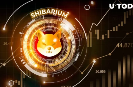 Shibarium Testnet Publishes Wallet Update as Number of Transactions Surges