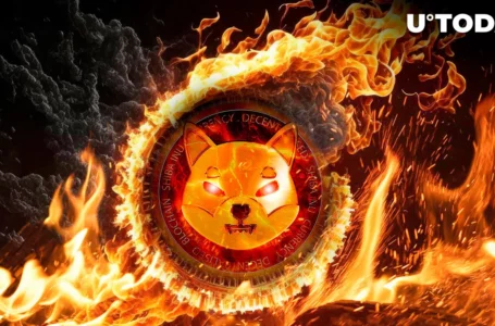 Mind-Blowing 800% Shiba Inu (SHIB) Burn Rate Surge Led to 1 Billion Burn