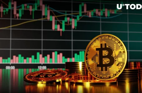 Bitcoin (BTC) Remains Above Key Level: Analyst