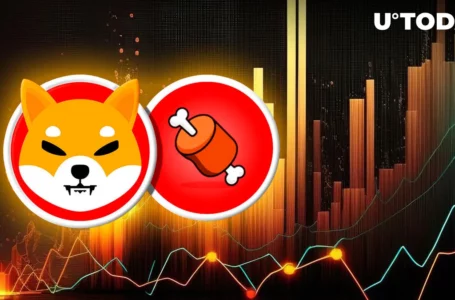 Shiba Inu Token BONE Booming 1,000% On-Chain Amid New Shibarium Update