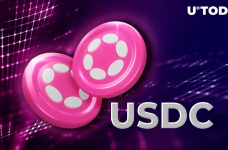 Polkadot (DOT) Gets Ready for Stablecoin Giant USDC Launch