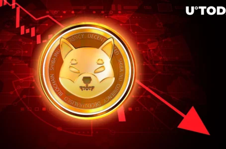 Jaw-Dropping 74% of Shiba Inu (SHIB) Holders Suffer Losses Amid Shibarium Outage