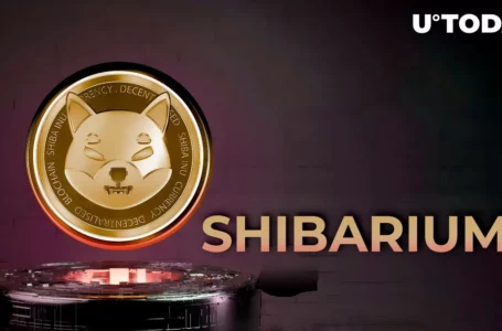 Shiba Inu Developer Gives Important Clarification as Shibarium Goes Live