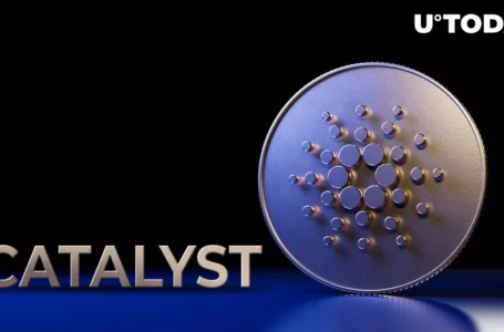 Cardano Catalyst Testnet Goes Live, Here’s Its Significance