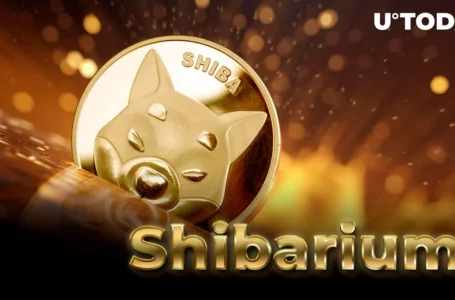 Here’s How SHIB Community Reacts to Shibarium Relaunch