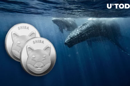 Did Shiba Inu (SHIB) Whales Go Extinct? Bizarre Data Raises Questions