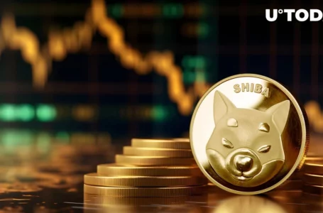 SHIB Price Down, Top Shiba Inu Team Member Explains Why