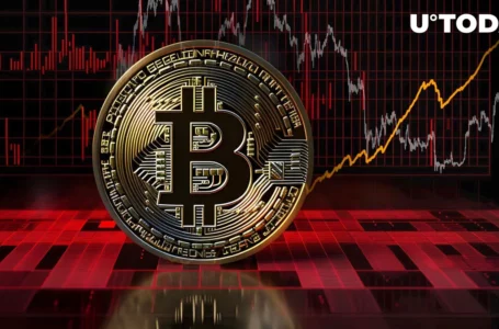 Bitcoin (BTC) HODL Metrics at Five-Year Highs