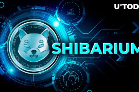 Hot Shibarium Update Shared by Shytoshi Kusama