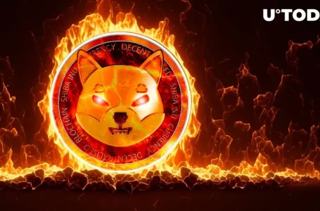 Shiba Inu (SHIB) Burn Rate Surges Again, Setting up Trend for Week