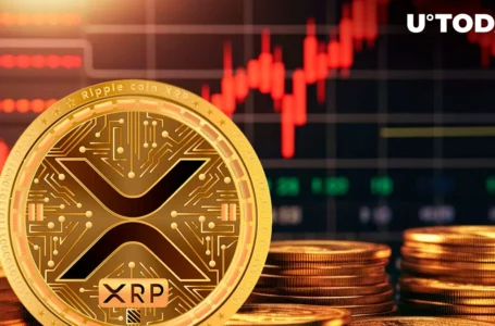 XRP Stands Out: Worst Week for Crypto Funds Since March