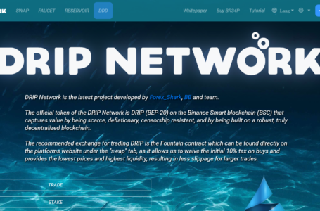 Drip Network Review: The First-Ever Deflationary Daily ROI Platform