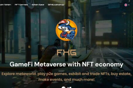 FXG Review: A Gamefi That Integrates Mobile Games And End-To-End Games Based on BSC