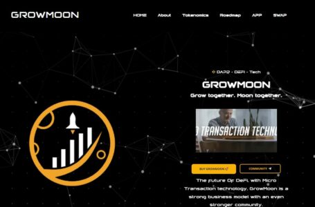 GrowMoon (GM) Review: A MicroTransaction (MT) Based Crypto