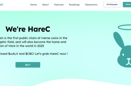 Hare Chain (HAREC) Review: Everything To Know About