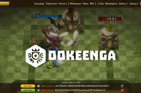 Ookeenga (OKG) Review: A 3D Gaming Project Which Built On The Binance Smart Chain