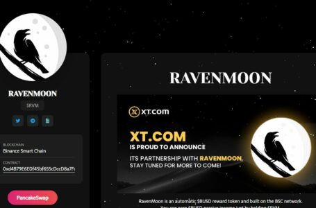 RavenMoon (RVM) Review: An Automatic BUSD Reward Token and Built on The BSC Network