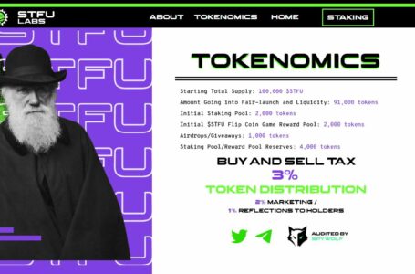 STFU Labs(STFU) Review: Aims To Produce dApps That Provide Passive and Active Income for Token Holders