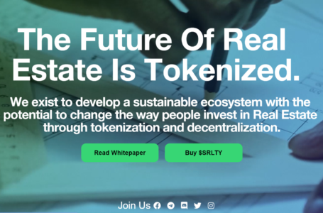 SaitaRealty (SRLTY) Review: A Satellite Token In The Saitama Ecosystem