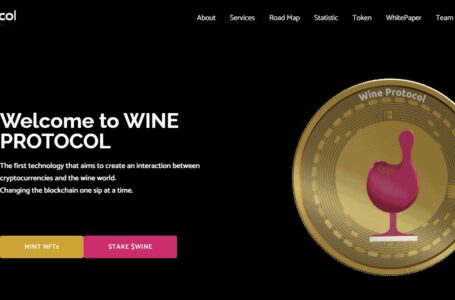 Wine Protocol (WINE) Review: An Interaction Between Cryptocurrency And The Wine World