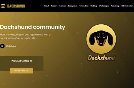 Dachshund (DSD) Review: A Vibrant Decentralized Ecosystem