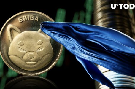 Shiba Inu’s Whale Transactions up 10%, Negate These Bearish Metrics