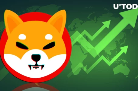 Shiba Inu (SHIB) Rally Accelerates, Gains 7% Already: Next Targets