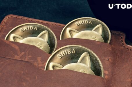 7.5 Billion Shiba Inu (SHIB) Unexpectedly Land in Voyager Wallet: Surprise or Setup?