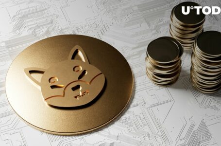 Shiba Inu (SHIB) Beats 4,480 Coins as Price Booms, Here’s Why