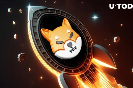 3 Reasons Why Shiba Inu (SHIB) Saw Massive 20% Breakthrough