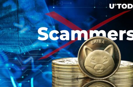 Shiba Inu Lead Shytoshi Kusama Shuts Down Scammers