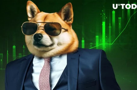 Large Shiba Inu (SHIB) Transactions Witness Jaw-Dropping 600% Surge Overnight