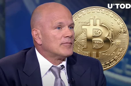 Bitcoin Bull Mike Novogratz Says There’s No Risk of Run on Tether
